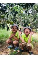 Dã ngoại Khối Nai Bambi ngày 09/09